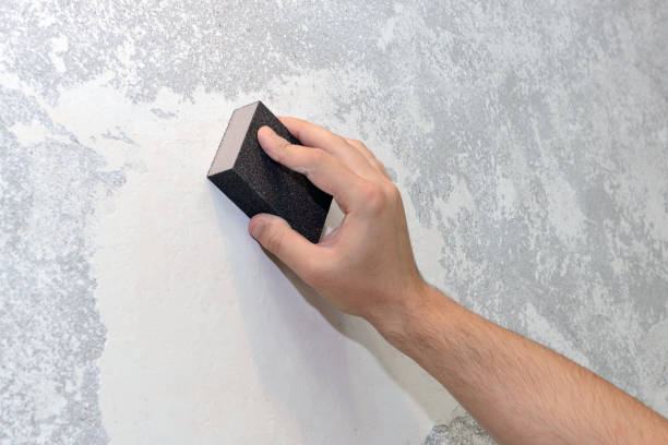 Professional Mold Removal in Norton, VA