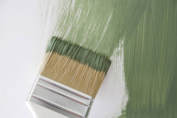 Best Basement Mold Removal  in Norton, VA