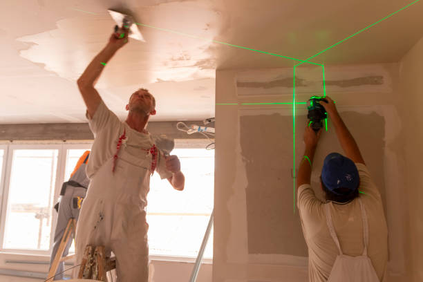 Best Black Mold Removal  in Norton, VA