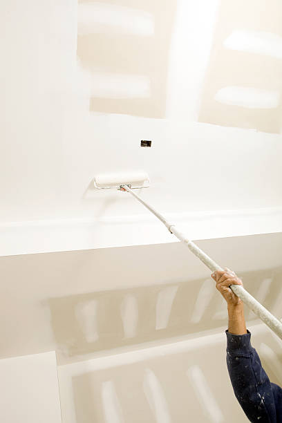 Best Mold Removal for HVAC Installations  in Norton, VA