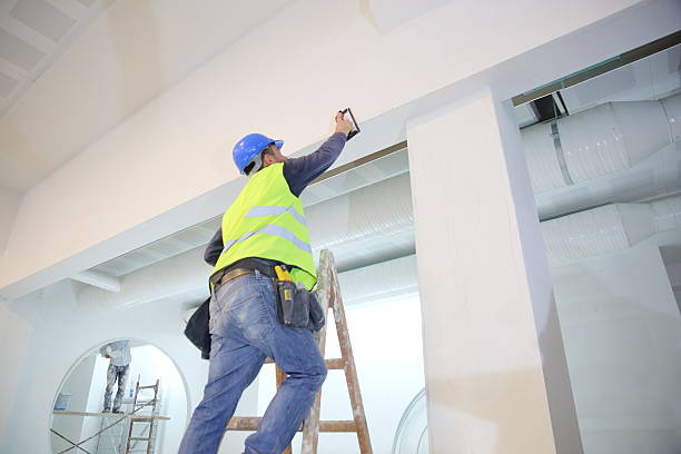 Best Biohazard Mold Removal  in Norton, VA
