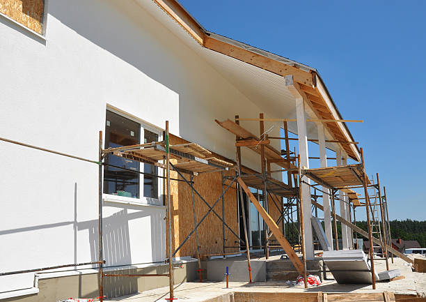 Best Industrial Mold Remediation  in Norton, VA