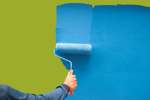 Best Mold Documentation for Insurance Claims  in Norton, VA