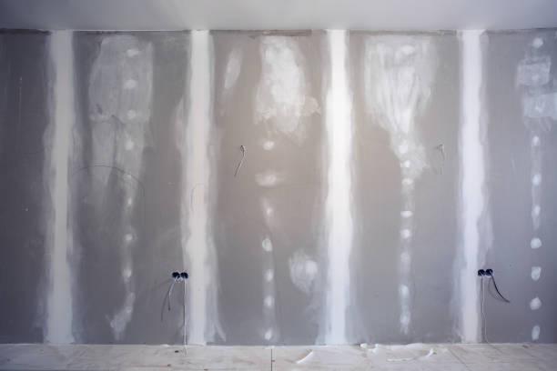 Best Real Estate Mold Inspection  in Norton, VA